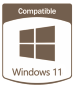 Windows 11